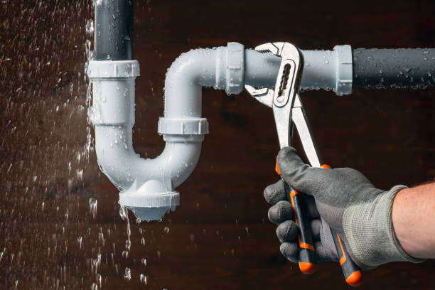 Professional Plumbing technician working in Readville, MA
